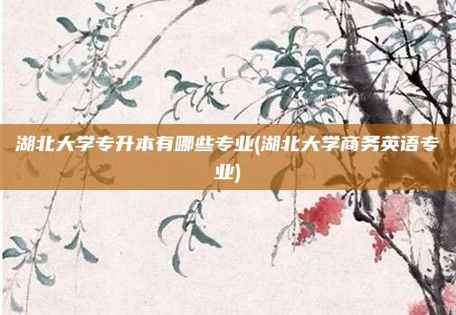 湖北大学专升本有哪些专业(湖北大学商务英语专业)