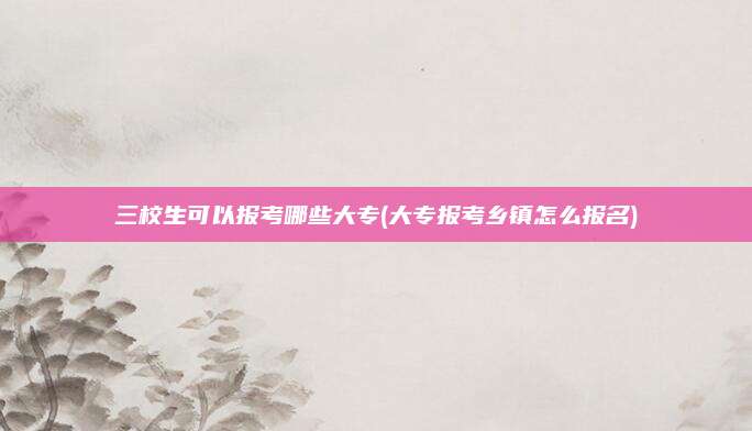 三校生可以报考哪些大专(大专报考乡镇怎么报名)