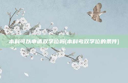 本科可以申请双学位吗(本科考双学位的条件)