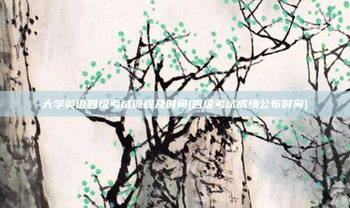 大学英语四级考试流程及时间(四级考试成绩公布时间)