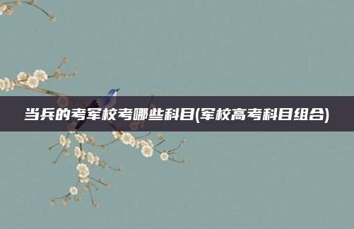 当兵的考军校考哪些科目(军校高考科目组合)