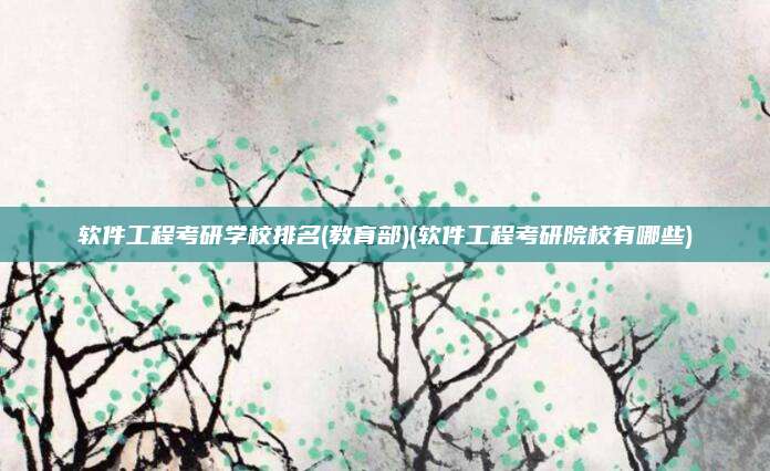 软件工程考研学校排名(教育部)(软件工程考研院校有哪些)