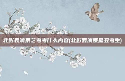 北影表演系艺考考什么内容(北影表演系最丑考生)