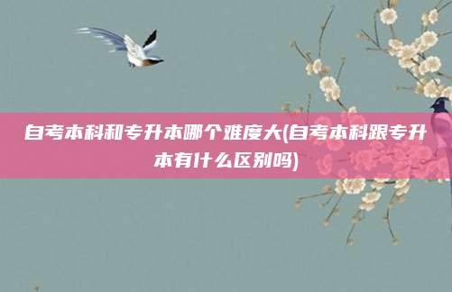 自考本科和专升本哪个难度大(自考本科跟专升本有什么区别吗)