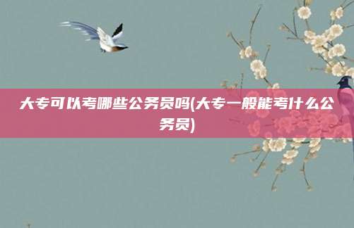 大专可以考哪些公务员吗(大专一般能考什么公务员)