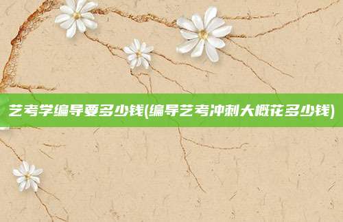 艺考学编导要多少钱(编导艺考冲刺大概花多少钱)