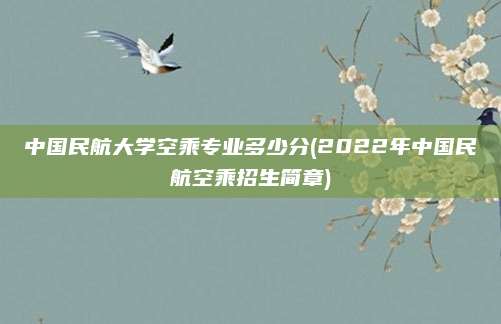 中国民航大学空乘专业多少分(2022年中国民航空乘招生简章)