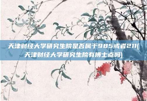 天津财经大学研究生院是否属于985或者211(天津财经大学研究生院有博士点吗)