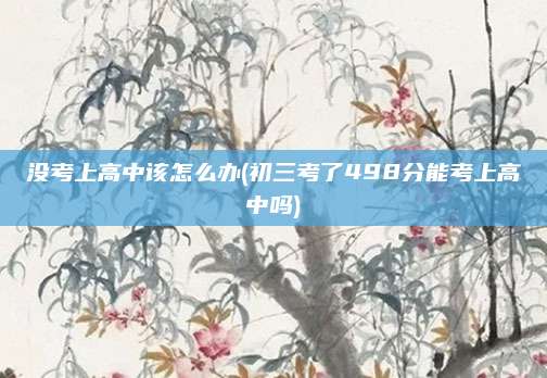 没考上高中该怎么办(初三考了498分能考上高中吗)