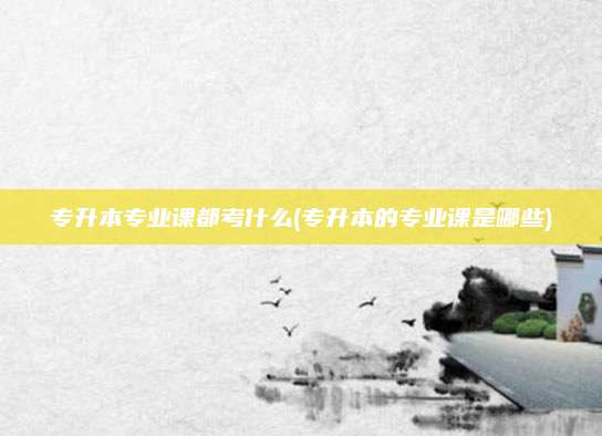 专升本专业课都考什么(专升本的专业课是哪些)