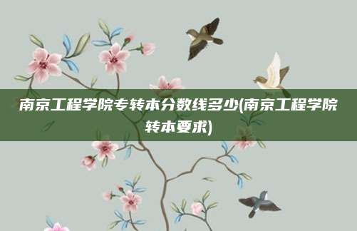 南京工程学院专转本分数线多少(南京工程学院转本要求)