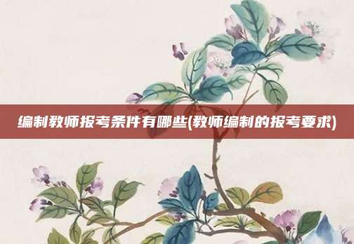 编制教师报考条件有哪些(教师编制的报考要求)