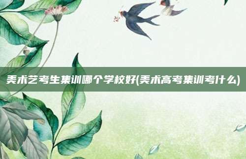 美术艺考生集训哪个学校好(美术高考集训考什么)