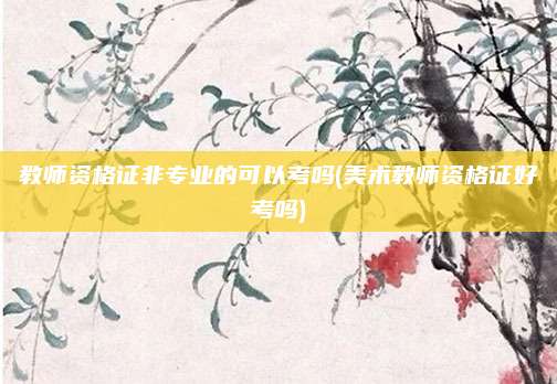 教师资格证非专业的可以考吗(美术教师资格证好考吗)