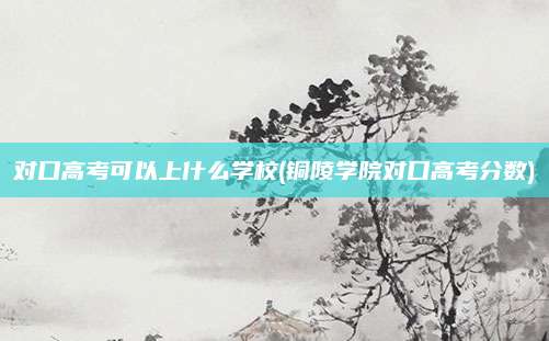 对口高考可以上什么学校(铜陵学院对口高考分数)