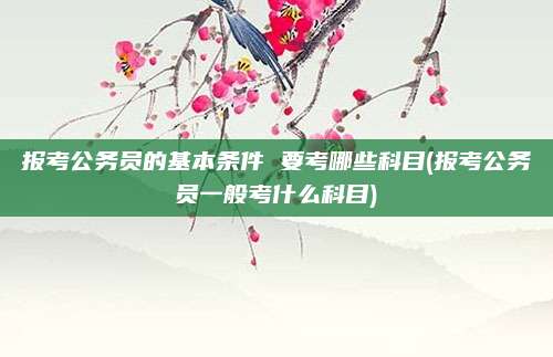 报考公务员的基本条件 要考哪些科目(报考公务员一般考什么科目)