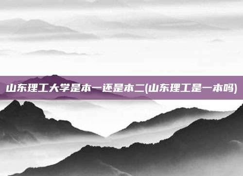 山东理工大学是本一还是本二(山东理工是一本吗)