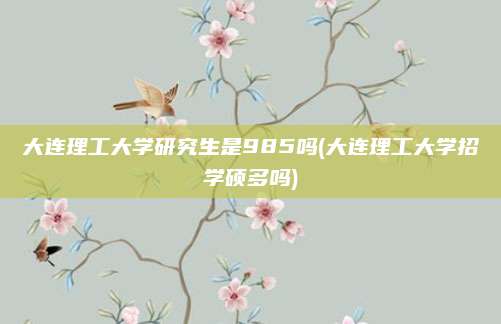 大连理工大学研究生是985吗(大连理工大学招学硕多吗)
