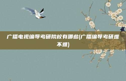 广播电视编导考研院校有哪些(广播编导考研难不难)