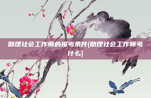 助理社会工作师的报考条件(助理社会工作师考什么)