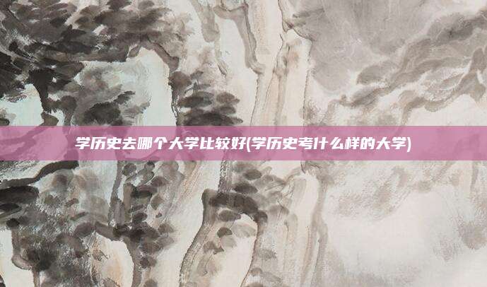 学历史去哪个大学比较好(学历史考什么样的大学)