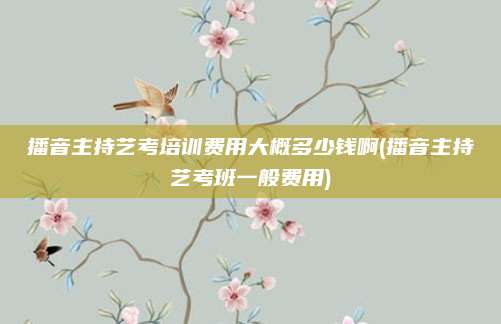 播音主持艺考培训费用大概多少钱啊(播音主持艺考班一般费用)