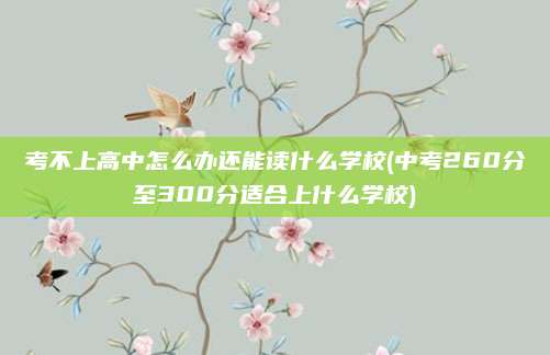 考不上高中怎么办还能读什么学校(中考260分至300分适合上什么学校)