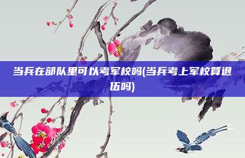 当兵在部队里可以考军校吗(当兵考上军校算退伍吗)