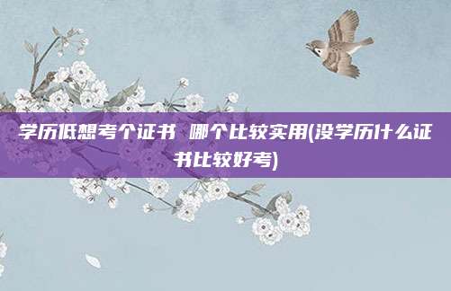 学历低想考个证书 哪个比较实用(没学历什么证书比较好考)