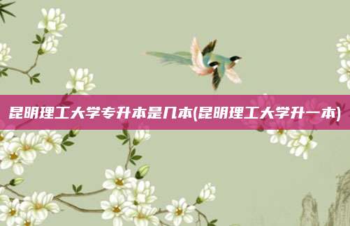 昆明理工大学专升本是几本(昆明理工大学升一本)