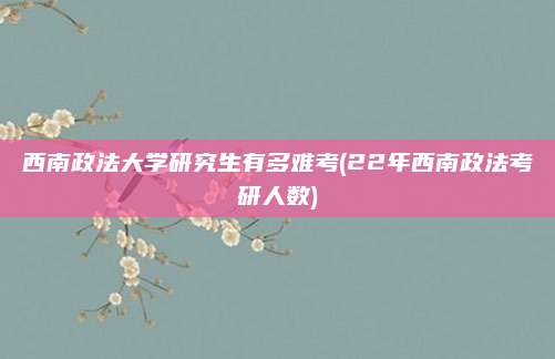西南政法大学研究生有多难考(22年西南政法考研人数)