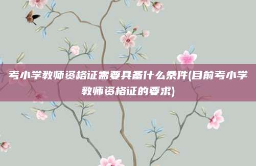 考小学教师资格证需要具备什么条件(目前考小学教师资格证的要求)