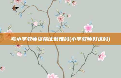 考小学教师资格证很难吗(小学教师好进吗)