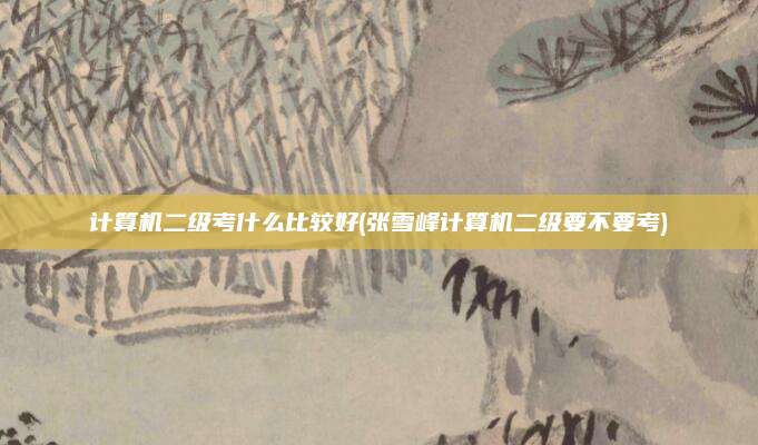 计算机二级考什么比较好(张雪峰计算机二级要不要考)