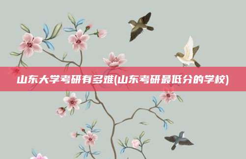 山东大学考研有多难(山东考研最低分的学校)