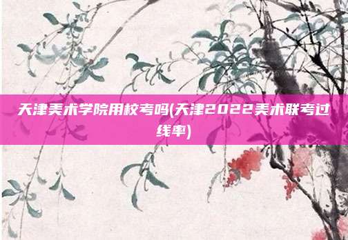 天津美术学院用校考吗(天津2022美术联考过线率)