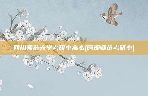 四川师范大学考研率高么(阿坝师范考研率)