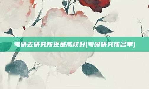 考研去研究所还是高校好(考研研究所名单)