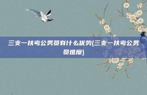 三支一扶考公务员有什么优势(三支一扶考公务员难度)