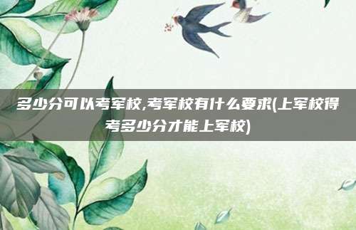 多少分可以考军校,考军校有什么要求(上军校得考多少分才能上军校)