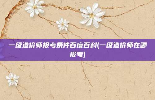 一级造价师报考条件百度百科(一级造价师在哪报考)