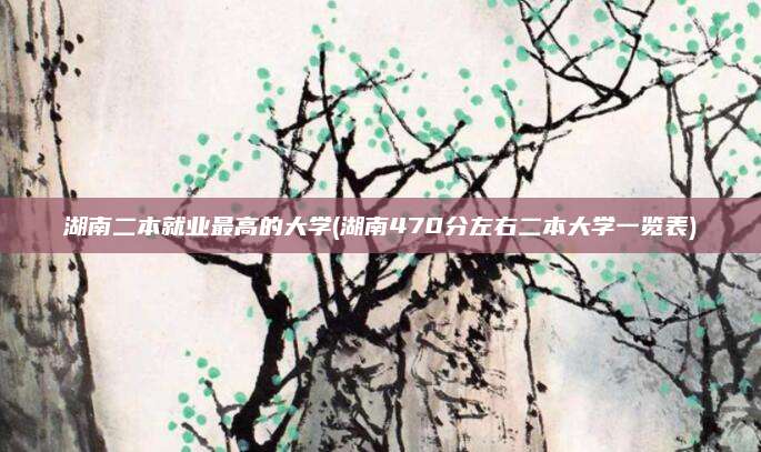 湖南二本就业最高的大学(湖南470分左右二本大学一览表)