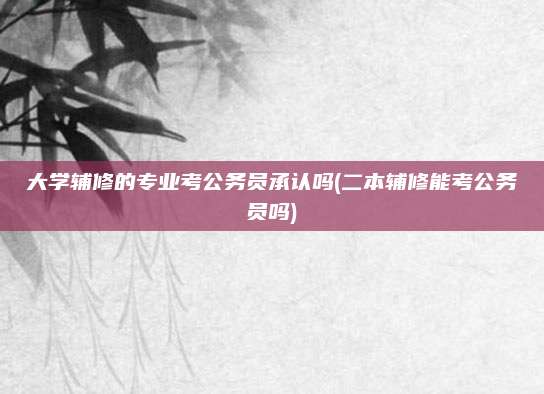 大学辅修的专业考公务员承认吗(二本辅修能考公务员吗)
