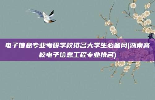 电子信息专业考研学校排名大学生必备网(湖南高校电子信息工程专业排名)