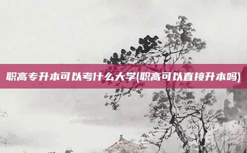 职高专升本可以考什么大学(职高可以直接升本吗)