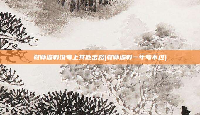 教师编制没考上其他出路(教师编制一年考不过)
