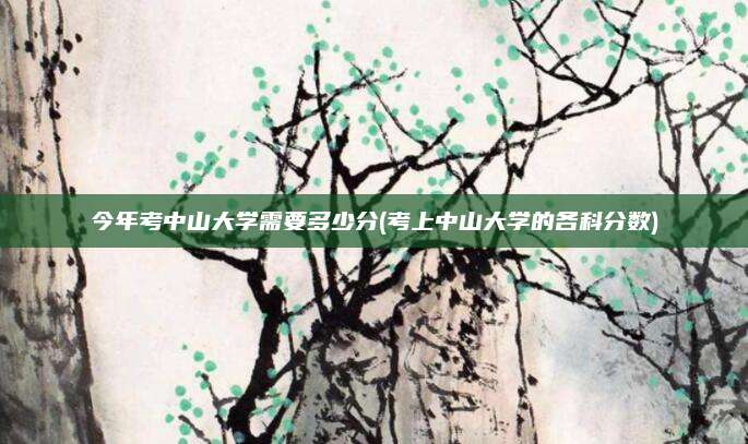 今年考中山大学需要多少分(考上中山大学的各科分数)