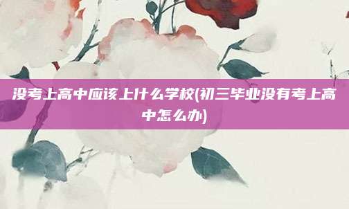 没考上高中应该上什么学校(初三毕业没有考上高中怎么办)