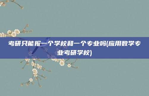 考研只能报一个学校和一个专业吗(应用数学专业考研学校)