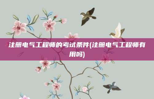 注册电气工程师的考试条件(注册电气工程师有用吗)